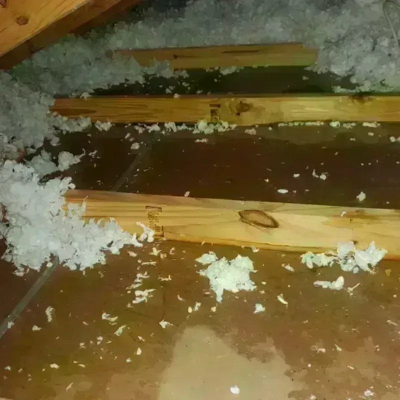 Attic Water Damage in Carbondale, IL