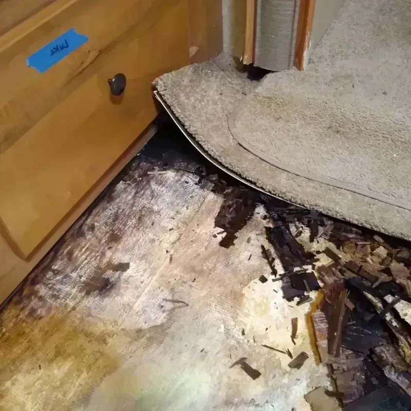 Wood Floor Water Damage in Carbondale, IL